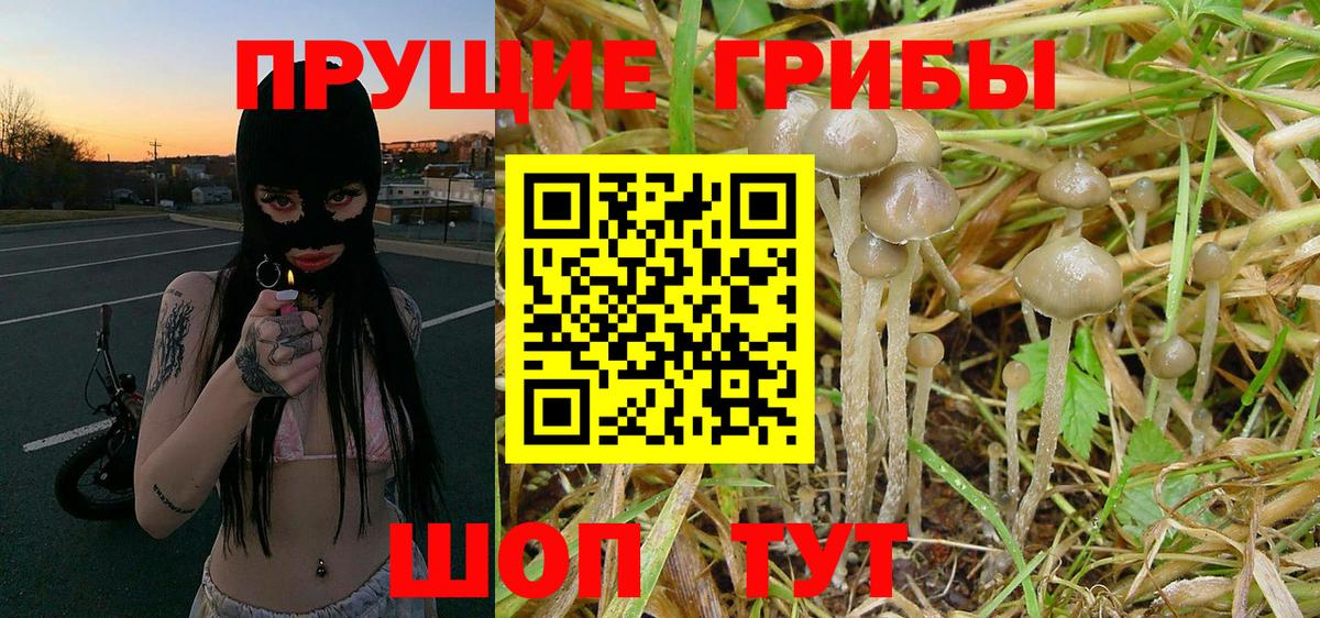 Псилоцибиновые грибы MAGIC MUSHROOMS Туапсе
